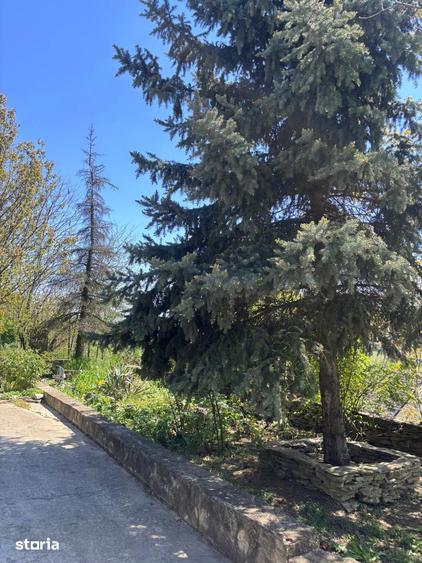 Casă cu 5 camere cu Teren 2250 Mp în Central