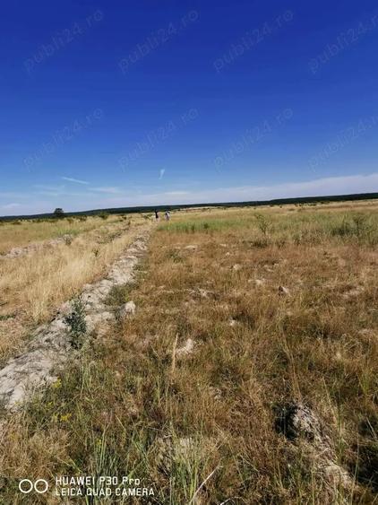 Teren de 1000 mp, în Păușa