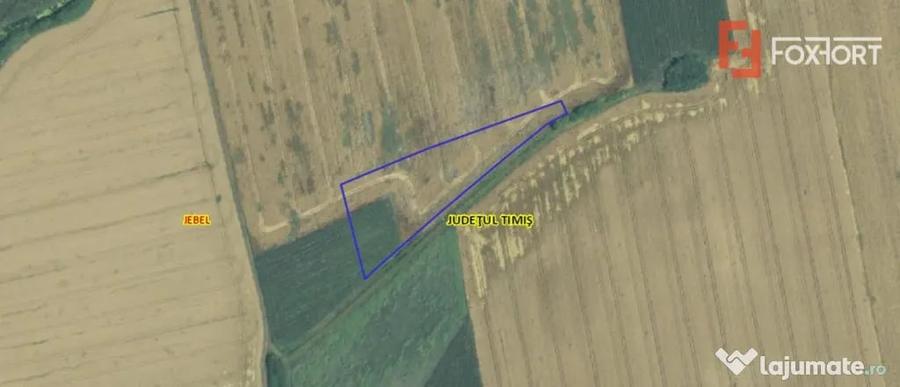 Teren agricol extravilan de vanzare, 2,69 hectare - Jebel Ti - Jebel (Timis) - 1