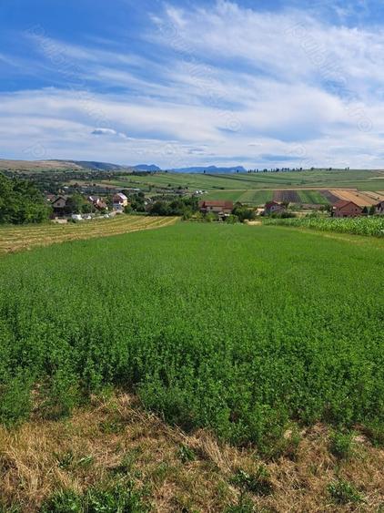 Teren de 1970 mp, în Tureni