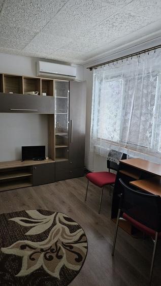 Apartament cu 2 camere nedecomandat, mobilat în Șagului