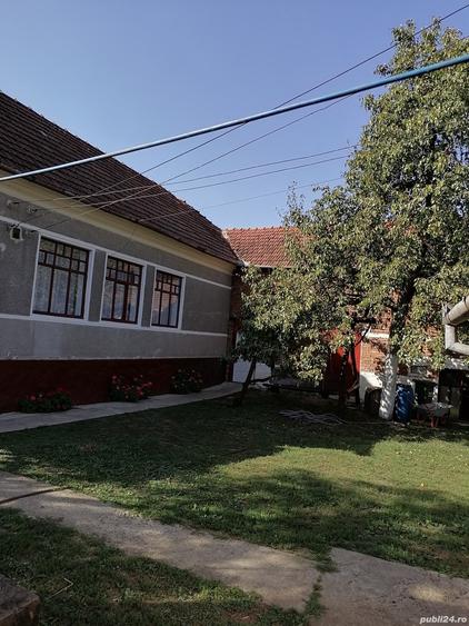 Casă cu 4 camere cu Teren 6000 Mp în Nicolae Bălcescu