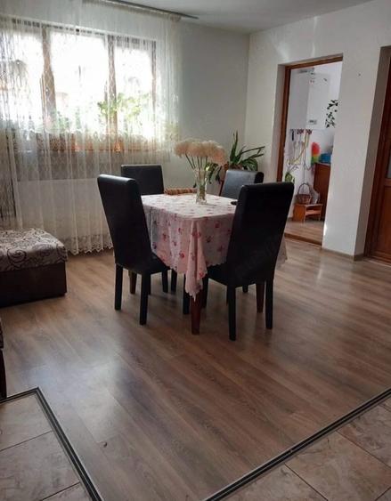 Vand o proprietate cu 2 case Cazasu, Satuc - 8
