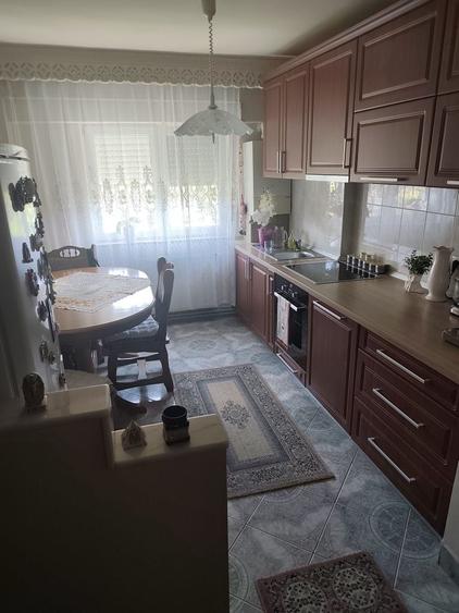 Apartament cu 2 camere decomandat în Viile Satu Mare