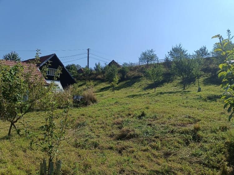 Teren Construcții intravilan de 3981 mp, în Bran