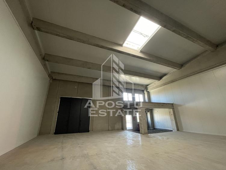 Spațiu industrial, de 523 mp, în Sânandrei