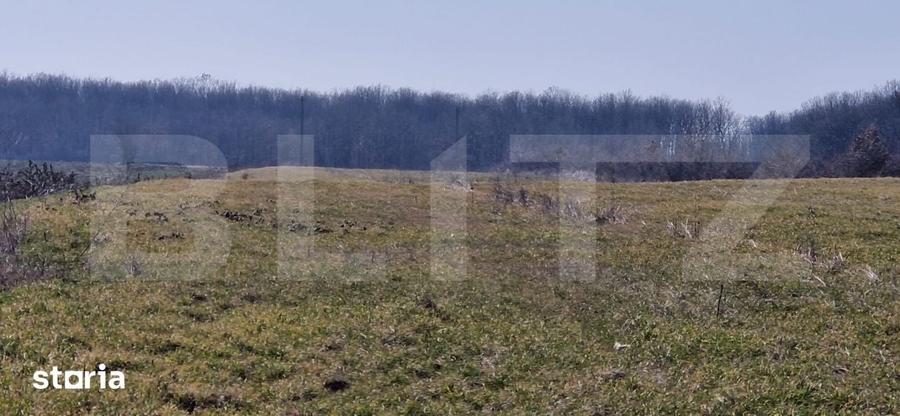Teren de 10000 mp, în Jibert