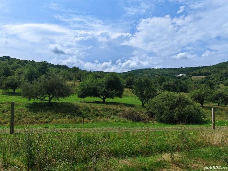 Teren de 623 mp, în Florești