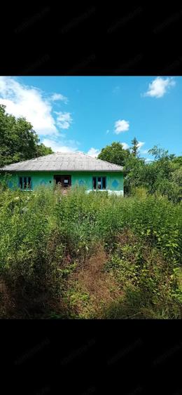 Casă cu 3 camere cu Teren 3000 Mp în Drăgușeni