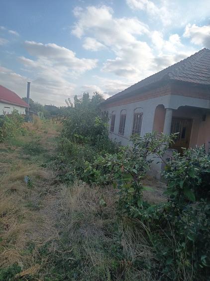Casa de vanzare in Galicea Mare Dolj - 1