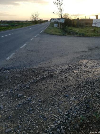 Teren de 15000 mp, în Topolovățu Mare