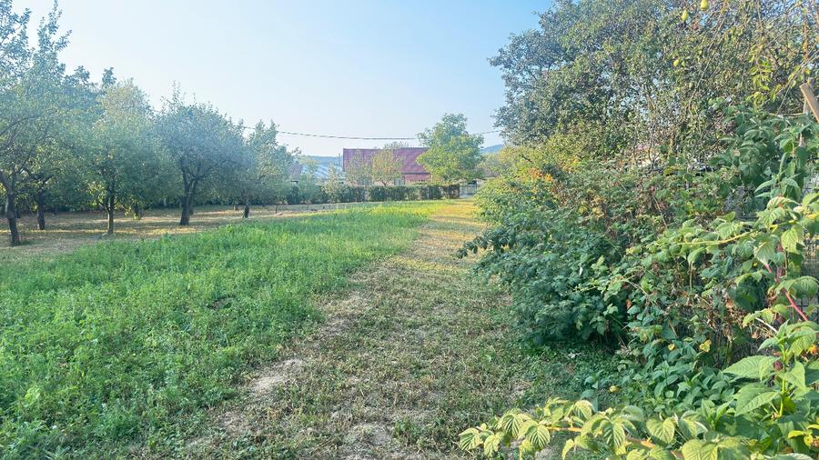 Teren Construcții intravilan de 1200 mp, în Sarasău