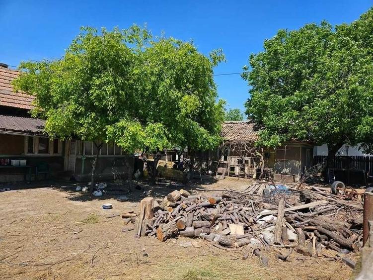 Casă cu 2 camere în Central
