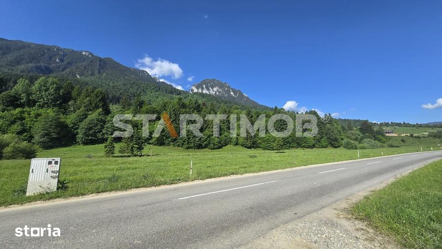 Teren de 7600 mp, în Plaiul Foii