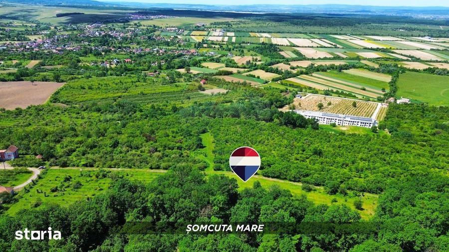 Teren de 5700 mp, în Central