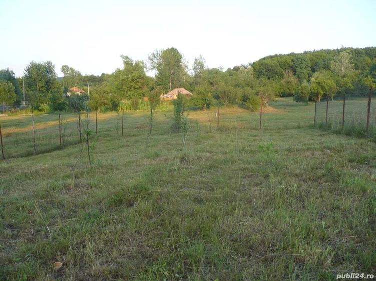 Teren de 600 mp, în Govora