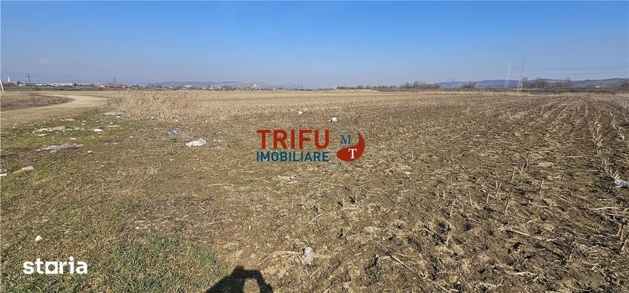 Teren de 6400 mp, în Central