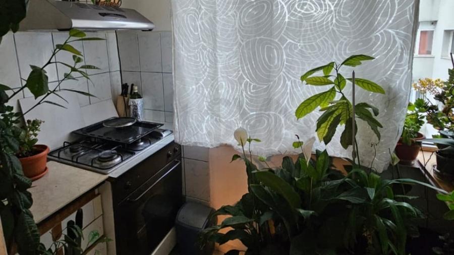 Apartament 2 camere I Baneasa - 2