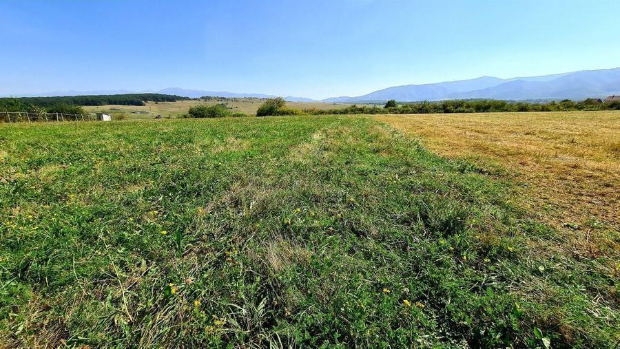 Teren Construcții intravilan de 2325 mp, în Est