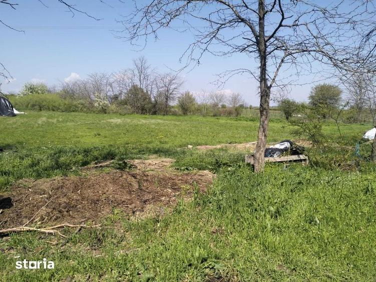 Teren de 2000 mp, în Coșoveni