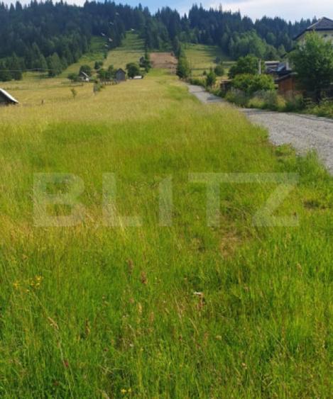 Teren 9.755 mp, intravilan, parcelabil, zona Vatra Dornei - 4