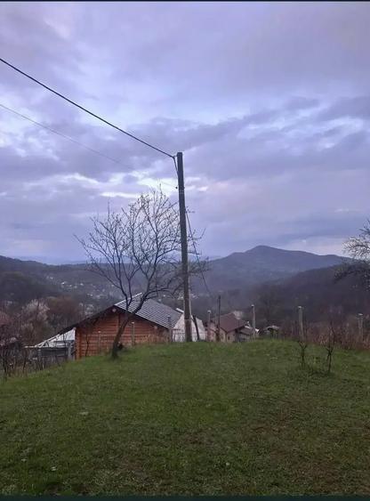 Teren de 3608 mp, în Șuta