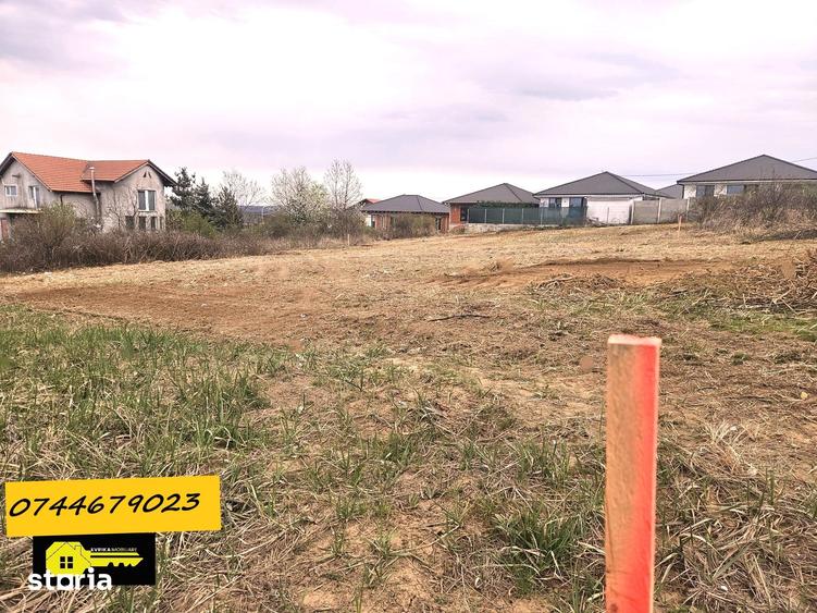 Teren intravilan, 800 mp, zona rezidentiala , pe drumul catre Paleu - 4