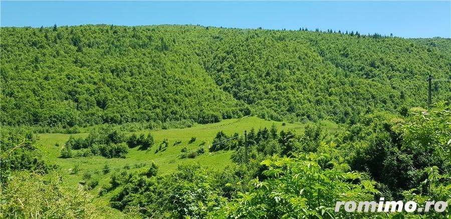 Teren de 14400 mp, în Central