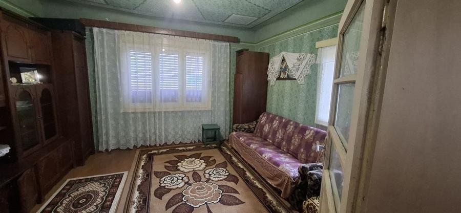 Casa la tara de vanzare - 2