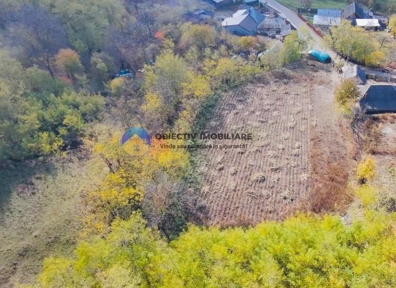 Teren intravilan de 11766 mp, în Costișa
