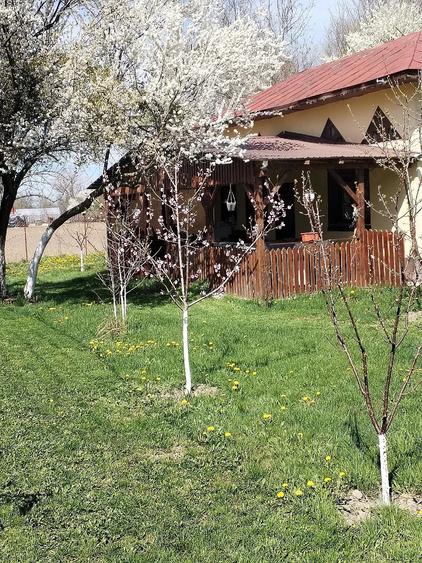 Casă cu Teren 5700 Mp în Gura Foii