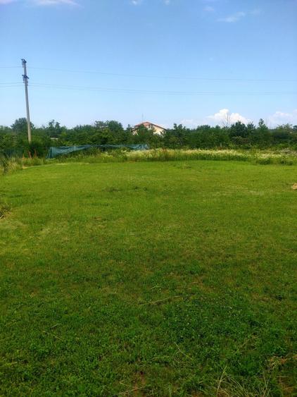 Spațiu comercial, în Păulești