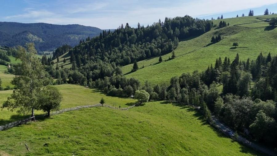 Teren intravilan de vanzare in Bucovina zona Breaza - 2