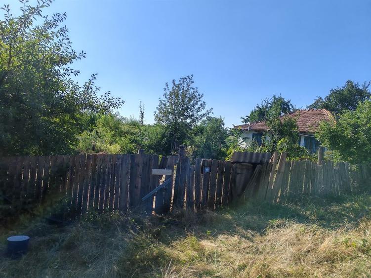 Teren de 1600 mp, în Corni-Albești