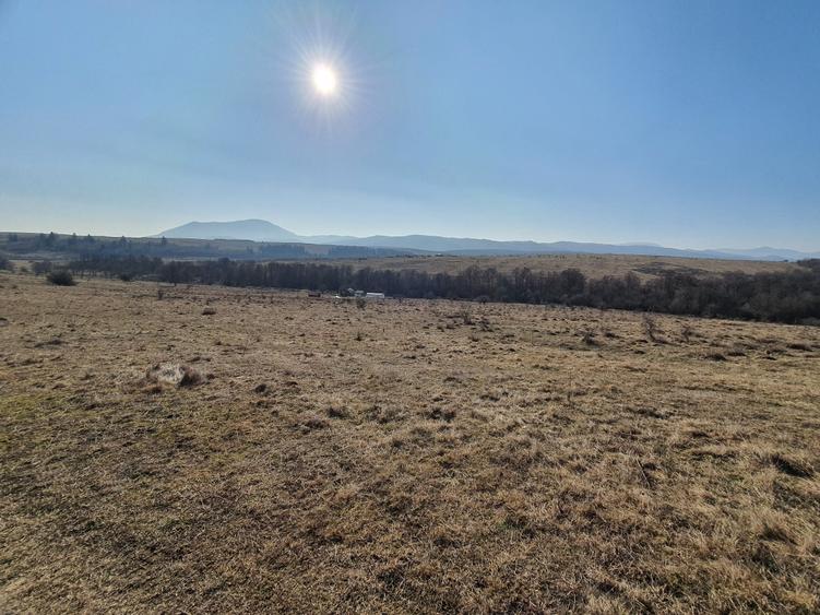 Teren Construcții intravilan de 500 mp, în Vlădeni