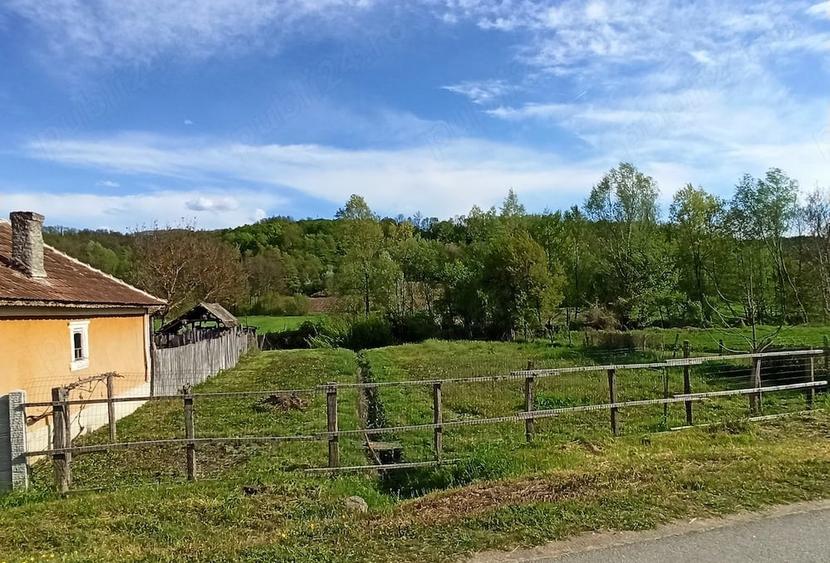 Casă cu Teren 2480 Mp în Păltinișu