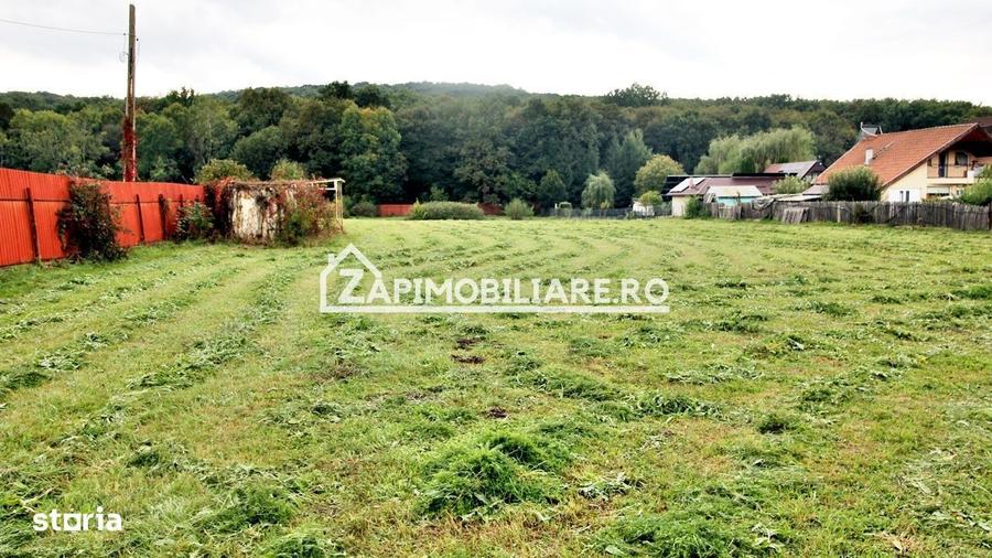 Teren Intravilan 5400 mp Corunca Valea Iubirii - 10