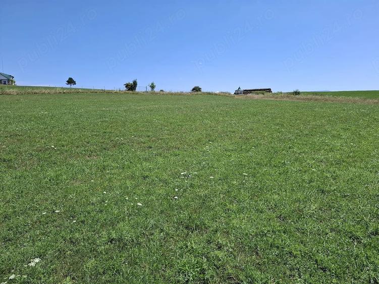 Teren de 3800 mp, în Șelimbăr