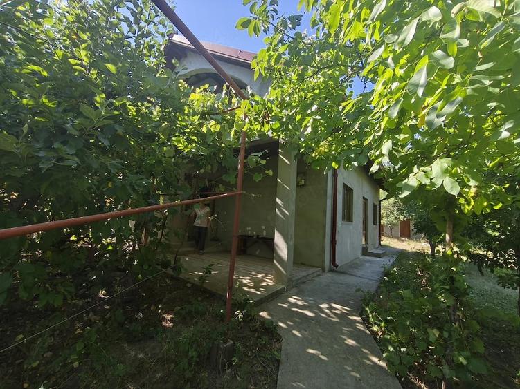 Casă cu 3 camere cu Teren 2645 Mp în Dragalina (Hlipiceni)