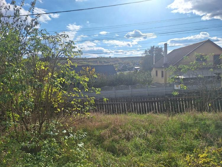 Teren agricol intravilan de 1000 mp, în Proselnici
