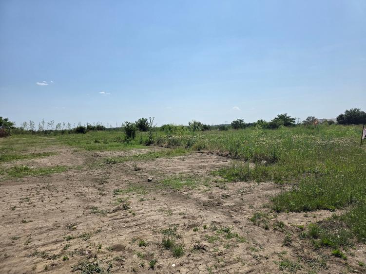 Teren Construcții intravilan de 3875 mp, în Bragadiru