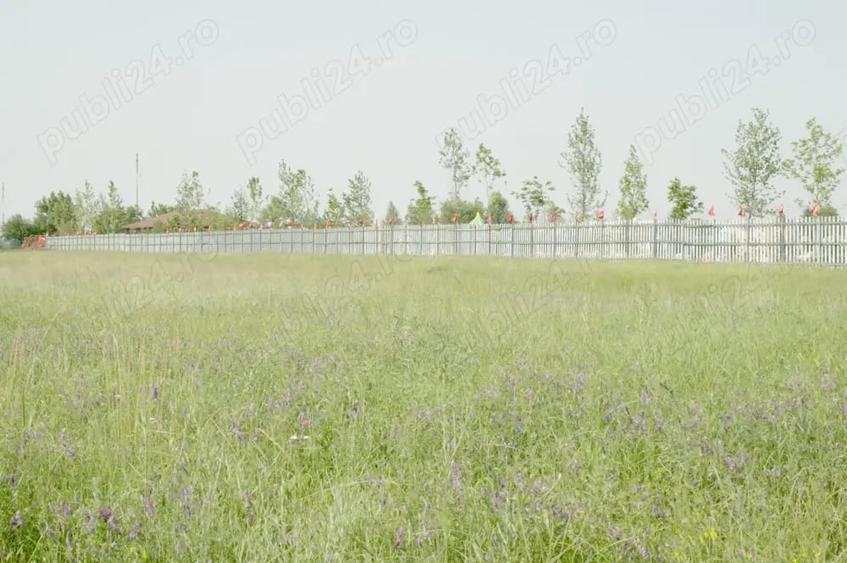 Teren de 8000 mp, în Otopeni
