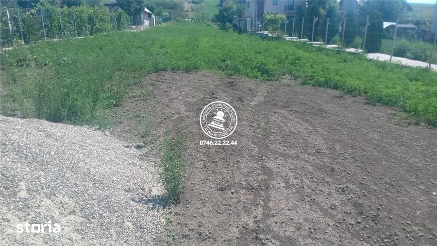 Teren de 4467 mp, în Lețcani