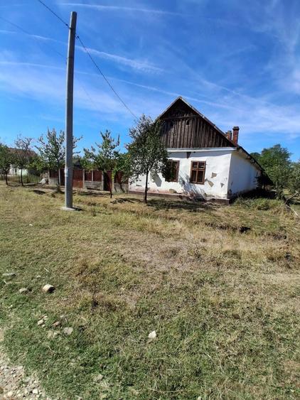 Casă cu Teren 3001 Mp în Bethausen