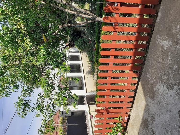 Casă cu 8 camere cu Teren 750 Mp în Tache