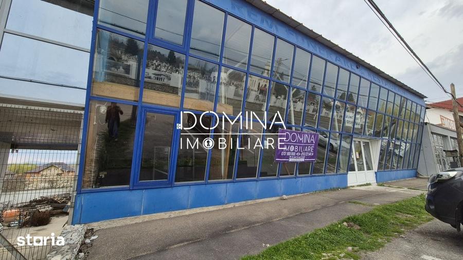 Spațiu comercial, de 215 mp, în Narciselor