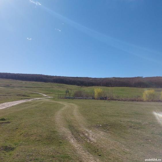 Teren de 2600 mp, în Reuseni