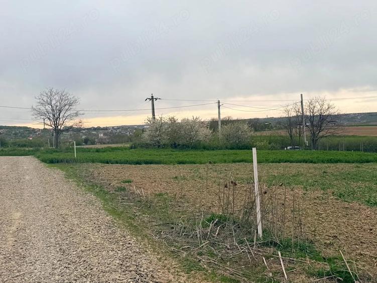 Vand loturi de teren Manastirea Doamnei Gaz-Apa-Curent electric - 3