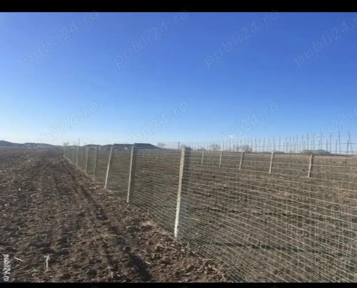 Teren de 1225 mp, în Vasile Alecsandri
