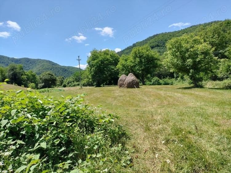 Teren de 3562 mp, în Vața de Sus